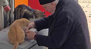 Yaşlı adamın sokak kedilerine şefkati yürekleri ısıttı