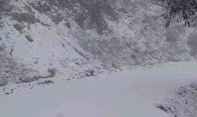 Yazın yanan orman sahası beyaza büründü