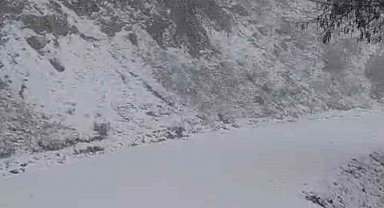 Yazın yanan orman sahası beyaza büründü