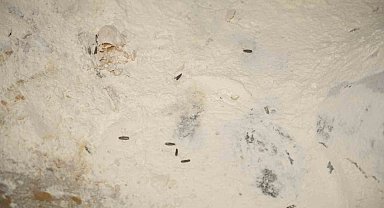 Yenişehir Belediyesi'nden YESAŞ'a hijyen cezası