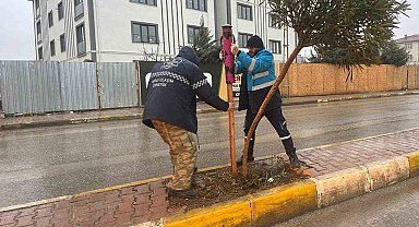 Yeşil alanlarda mevsimlik bakım ve güçlendirme seferberliği