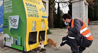 Yıldırım Belediyesi'nden sokak hayvanlarına sıcak yuva