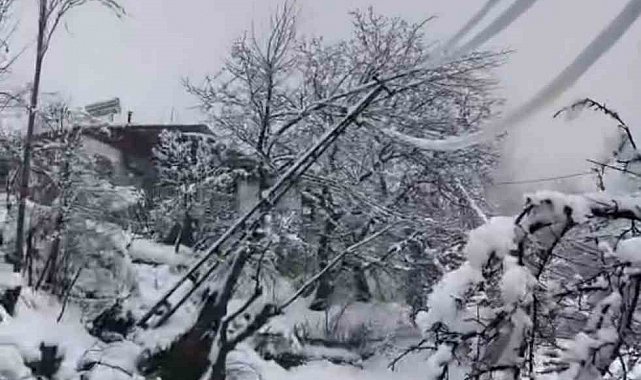 Yoğun kar elektrik direklerini devirdi