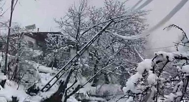 Yoğun kar elektrik direklerini devirdi