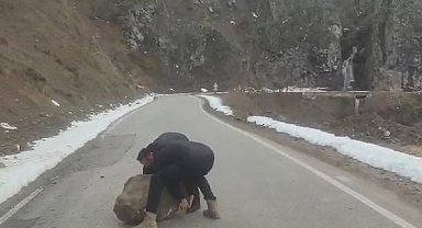 Yola düşen kayayı otomobilleriyle çektiler