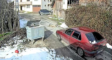 Yolda yatan köpeği ezip, yoluna devam etti