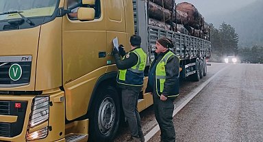 Yüklü araçlar tek tek kontrol edildi