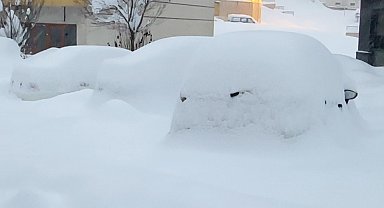 Yüksekova kara gömüldü: Kar kalınlığı yarım metreyi geçti