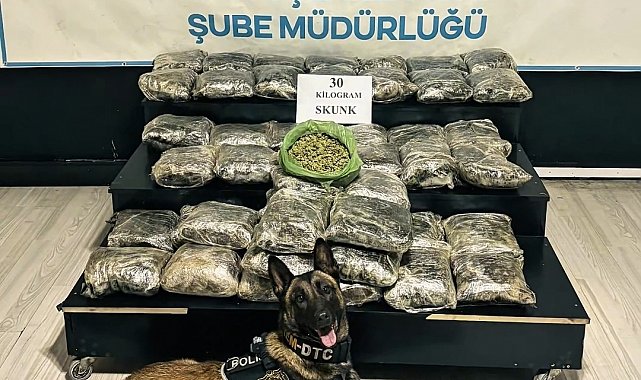 Yüksekova'da 30 kilo Skunk ele geçirildi: 2 şüpheli gözaltında