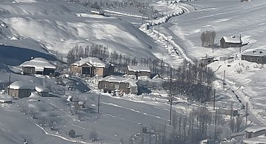 Yüksekova'da çiftçilere "kurt saldırısı" uyarısı