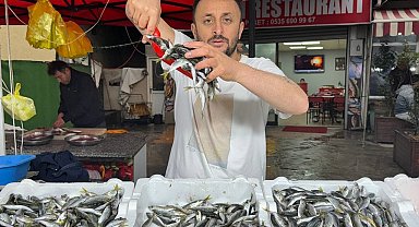 Zonguldak'ta istavrit tezgahta 100 liradan satıldı