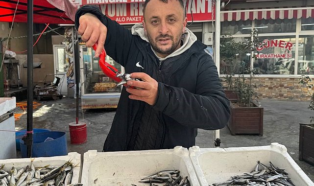 Zonguldak'ta tezgahlar istavritle şenlendi