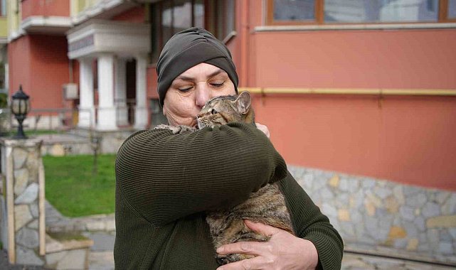 20 yıldır sokak kedilerine annelik yapıyor: "Sadece sevgi istiyorlar"