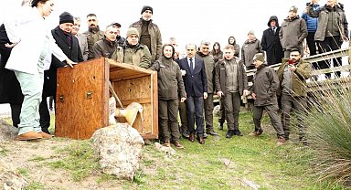 81 binden fazla göçmen kuş halkalandı