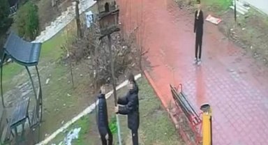 Adana'da parktaki kuş yuvasını parçaladılar