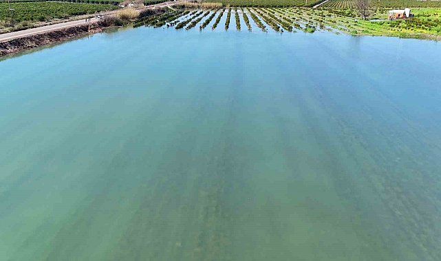 Adana'da sel suları tarım arazilerini sular altında bıraktı