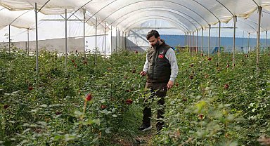 Adana'da sevgililerin gülleri dalında kurudu