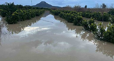 Adana'da şiddetli yağış, tarlaları sular altında bıraktı