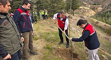 Afyonkarahisar'da 2 bin kestane fidanı toprakla buluşturuldu