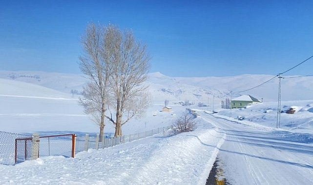 Ağrı kara teslim oldu