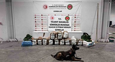 Ağrı'da Gürbulak Sınır Kapısı'nda 51 kilo 520 gram esrar ele geçirildi