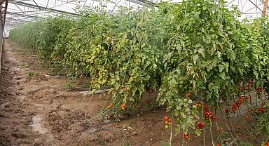 Aksu'da sağanak, sel, hortum ve doludan 23 mahalle, 500 çiftçi zarar gördü