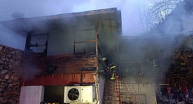Alanya'da piknik işletmesinde yangın korkuttu
