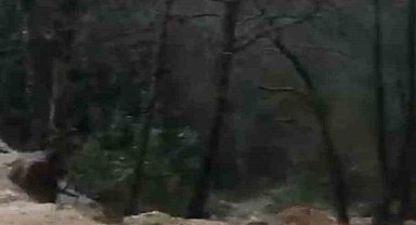 Alanya'da sağanak sonrası su taşkını köprüde zarara neden oldu