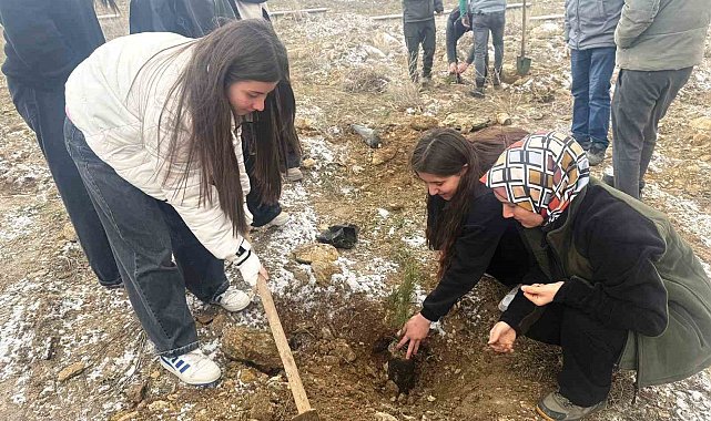 Altıntaş'ta lise öğrencileri fidan dikti