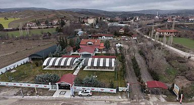 Ankaralı iki kardeş azmetti, hayallerini kır bahçesine dönüştürdü