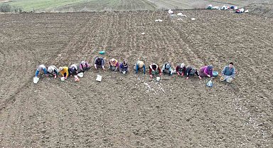 Annenin fedakarlık dolu yolculuğu: Çocukları için megakenti bırakıp toprağa sarıldı