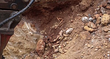 Antalya'da belediye kazısında kemik parçaları bulundu