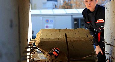 Antalya'da eğitilen Afrika keseli sıçanları enkaz altındaki "göz" olacak