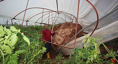 Antalya'da heyelan evlerin duvarlarını çatlattı, seralara dev kayalar düştü