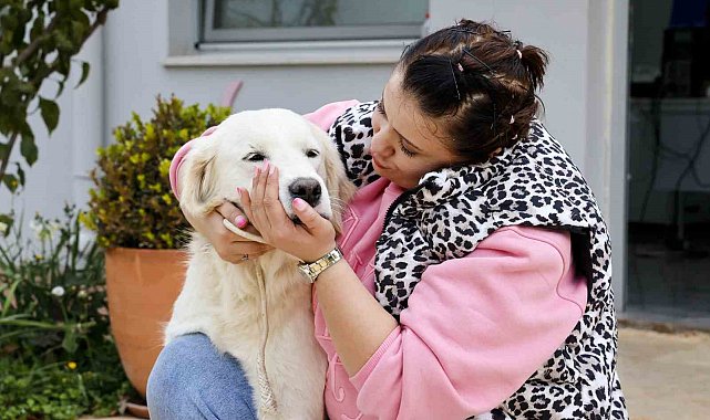 Antalya'da sokak hayvanları yeni sahiplerini bekliyor