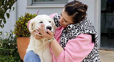 Antalya'da sokak hayvanları yeni sahiplerini bekliyor