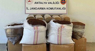 Antalya'da yolcu otobüsünde yarım ton kaçak tütün ele geçirildi