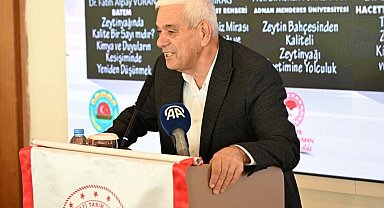 Antalya'da zeytinlik alan 20 yılda 2 katına çıktı