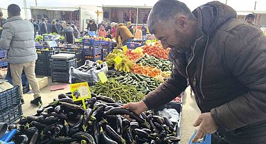 Antalya'daki olumsuz hava şartları patlıcanın tadını kaçırdı