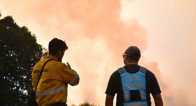 Arjantin'deki orman yangınlarında 50 bin hektarlık alan kül oldu