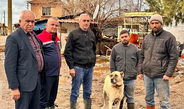 Aşırı yağışlar sonrası Söke'de hayvanlar güvenli bölgelere alındı