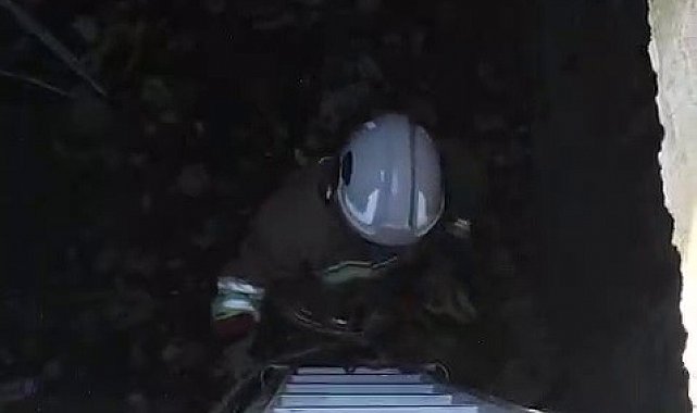 Atık su deposuna düşen kediyi kurtaran itfaiyeci, alkışlarla karşılandı