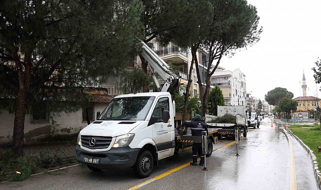 Aydın Büyükşehir Belediyesi'nden Efeler'in yeşil alanlarına bakım
