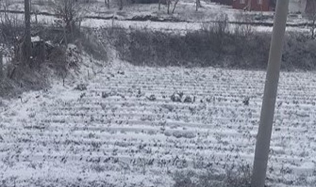 Aydın'ın yüksekleri beyaza büründü