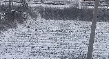 Aydın'ın yüksekleri beyaza büründü