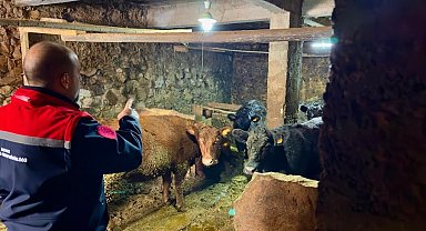 Aydıntepe'de Kırsalda Bereket Projesi ile üretimler devam ediyor