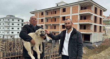 Baba oğul, çatıda ölümün eşiğindeki yavru köpeği kurtardı