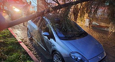 Babaeski'de kuvvetli rüzgarda otomobilin üzerine ağaç devrildi