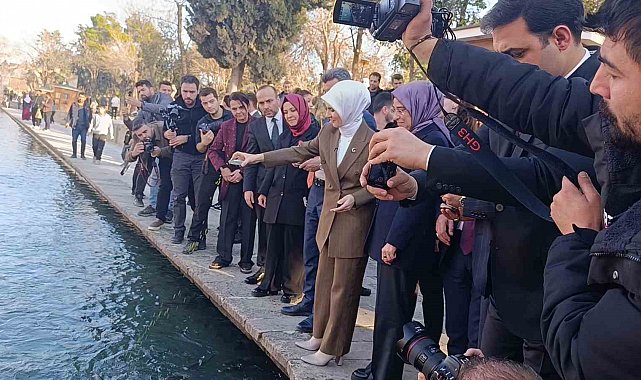 Bakan Göktaş Balıklıgöl'ü gezdi