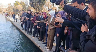 Bakan Göktaş Balıklıgöl'ü gezdi